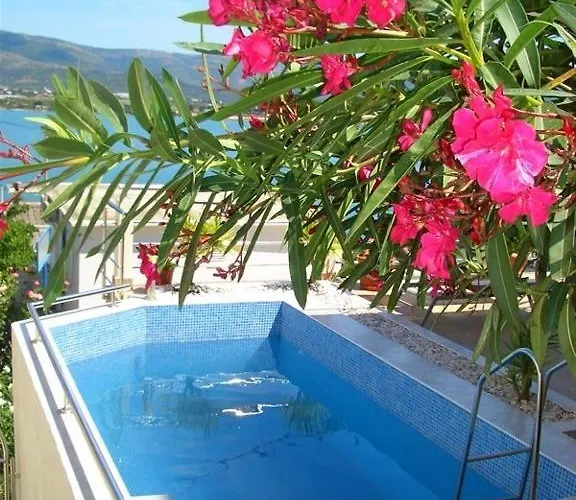 Apartament Palace View